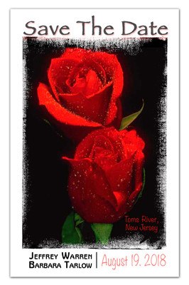 Red Rose Save the Date Magnet | Red Roses Canvas | MAGNETQUEEN