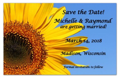 Sunflower Save The Date Magnet | Sunflower Up Close | MAGNETQUEEN