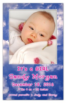 Birth Announcement Magnet | In The Clouds Girl | MAGNETQUEEN