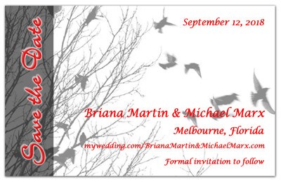 Unique Save the Date Magnets | Birds In Flight
