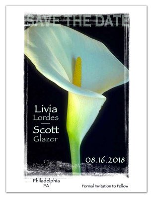 Elegant Save The Date Magnets | Calla Lily On Black | MAGNETQUEEN