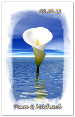 White Calla Lilly | On Water