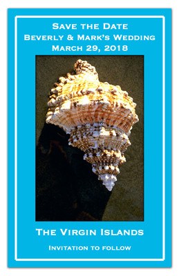 Sea Shell Save the Date Magnet  | Shell On Beach | MAGNETQUEEN