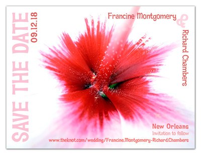 Save the Date Magnet | Hibiscus Explosion | MAGNETQUEEN