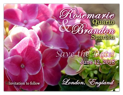 Save the Date Magnets | Hydrangea in Pink | MAGNETQUEEN