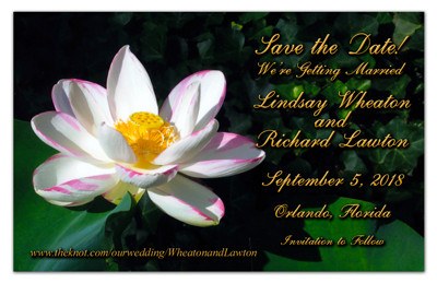 Save the Date Magnets | White Lotus with Yellow Flower