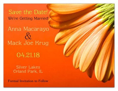 Wedding Save the Date Magnet | Orange Daisy | MAGNETQUEEN