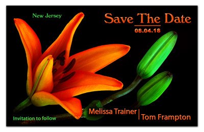 Save the Date Magnets | Orange Lily | MAGNETQEEN
