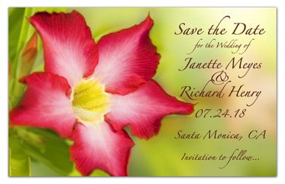 Save the Date Magnets | Painted Flower | MAGNETQUEEN