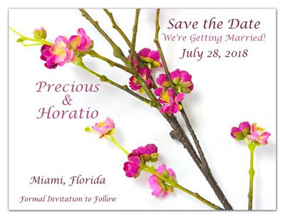 Flower Save the Date Magnets | Plum Blossom | MAGNETQUEEN